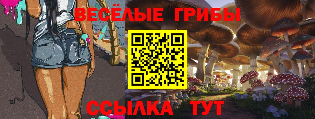 MDMA Михайловка