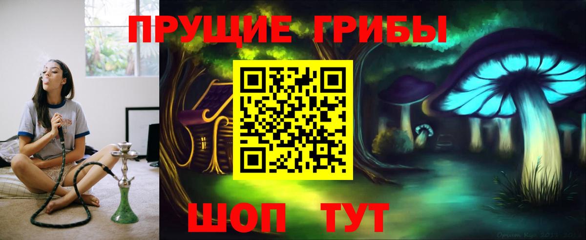 Псилоцибиновые грибы Psilocybine cubensis  Вход с VPN  Михайловка  Галлюциногенные грибы прущие грибы 